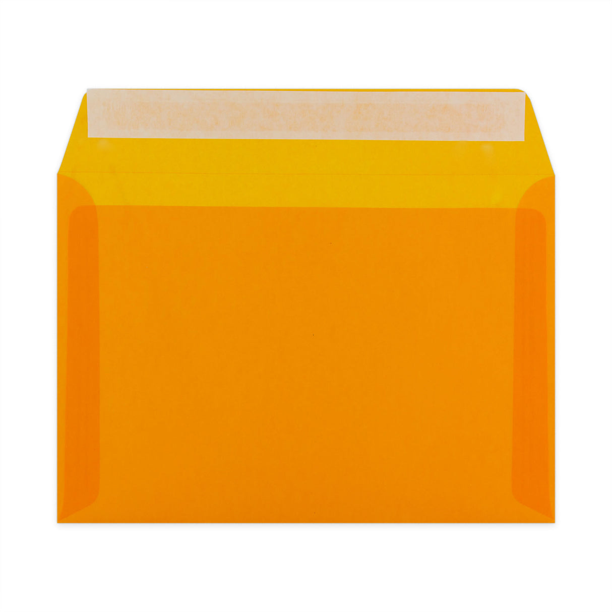 Barvne Prosojne ovojnice