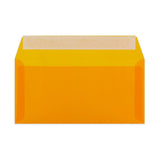 Barvne Prosojne ovojnice